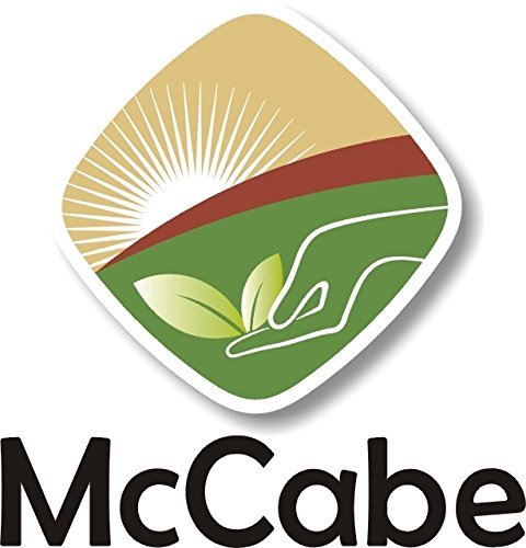 McCabe Organic Millet Flour - Millet Flour Organic | Rich with Fiber & Minerals | USDA and CCOF Certified | Product of USA | 2Lbs Pack of 3