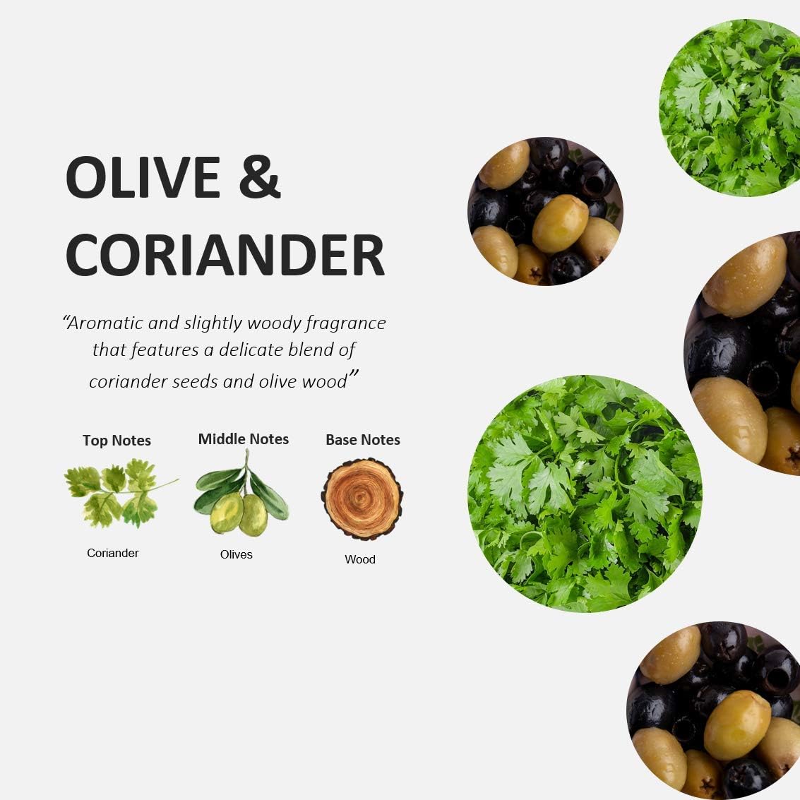 Coriander and Olive Cucina Dish Detergent 500ML