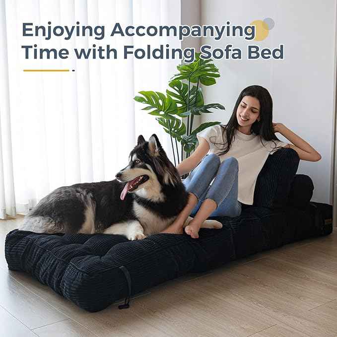 MAXYOYO Folding Sofa Bed, Convertible Sleeper Chair with Pillow Foldable Mattress with Back Support, Portable Fold Out Chair Bed Comfy Floor Sofa Lounge for Living Room Bedroom, Black, Single